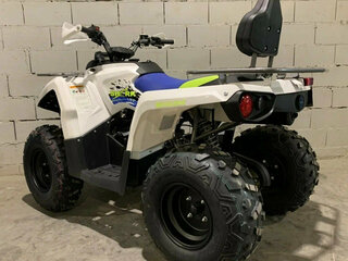 2026 Motoland ATV 200 Shark, белый, 208900 рублей, вид 5