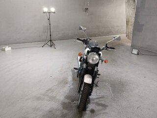 2009 Triumph Bonneville, белый, 649000 рублей, вид 3