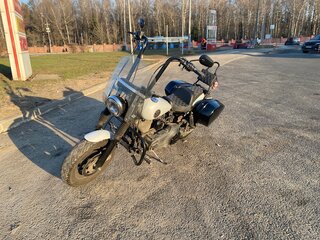 2017 Harley-Davidson Fat Bob, серый, 1600000 рублей, вид 4