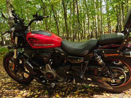 2022 Harley-Davidson Nightster, красный, 970000 рублей, вид 3