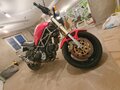 1999 Ducati Monster 900, красный, 430000 рублей - вид 1