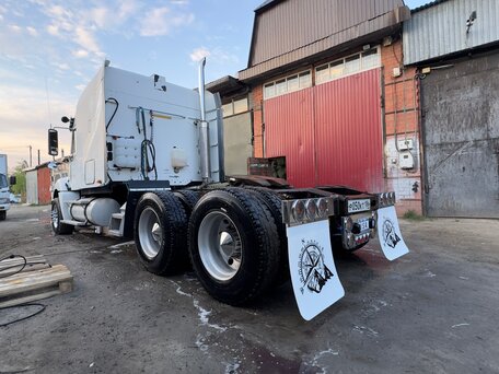 2003 Freightliner Columbia, белый, 3500000 рублей, вид 5