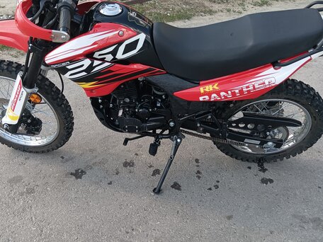2023 Racer Panther, красный, 110000 рублей, вид 3