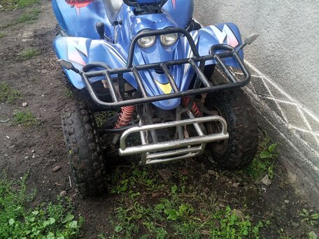 2007 Irbis ATV 300U, синий, 170000 рублей, вид 3