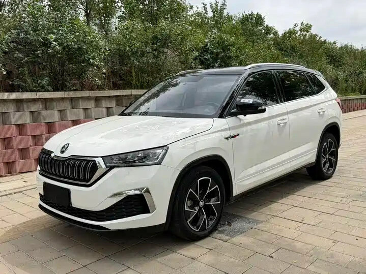 Открыть фотографии: Skoda Kamiq I