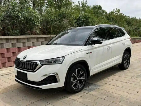 Skoda Kamiq I