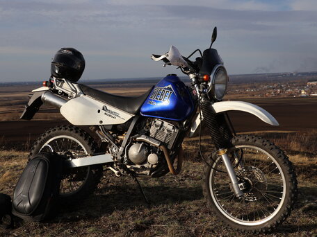 2004 Suzuki Djebel 250, синий, 280000 рублей, вид 1