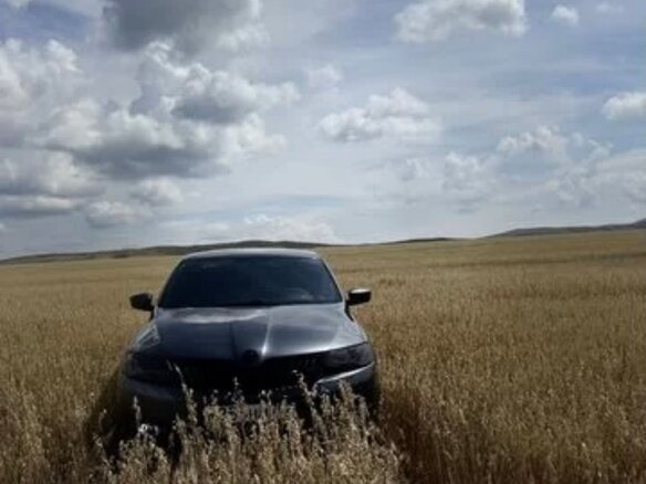 2015 Skoda Rapid I, серый - вид 4
