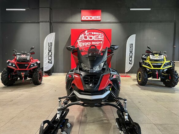 2025 AODES (Odes) Snowcross 1000, красный, 1195000 рублей - вид 8