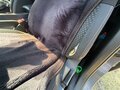 2008 Nissan Qashqai I, серый, 650000 рублей - вид 9