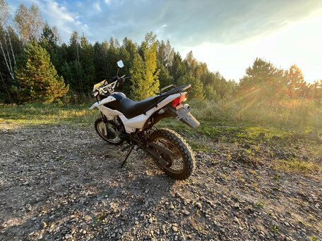 2020 Racer Panther, зелёный, 60000 рублей, вид 3