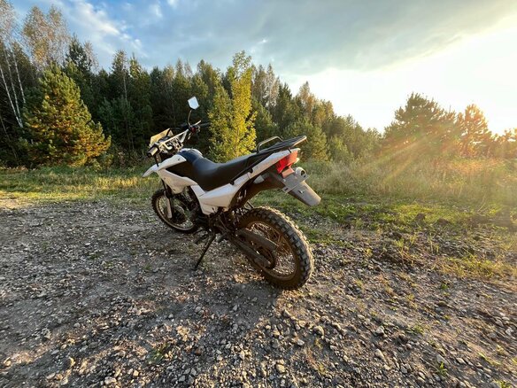 2020 Racer Panther, зелёный, 60000 рублей - вид 2