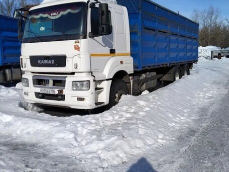 2018 КамАЗ 65207, белый, 3685000 рублей, вид 1