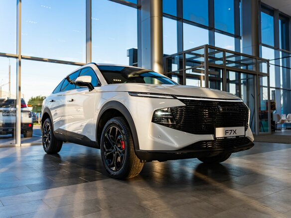 2026 Haval F7x II, белый - вид 25