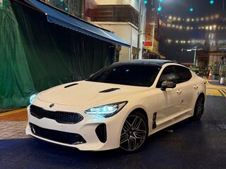 2020 Kia Stinger I Рестайлинг, белый, 3100000 рублей, вид 2