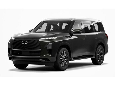 Infiniti QX80 II