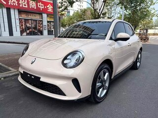 2024 Ora Good Cat 59.1 kWh I, бежевый, 1410000 рублей, вид 1