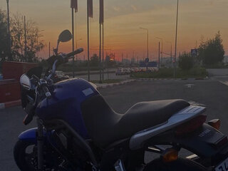 2002 Yamaha BT1100 Bulldog, синий, 520000 рублей, вид 5
