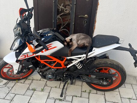 2020 KTM 390 Duke, оранжевый, 500000 рублей, вид 1