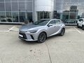 2025 Lexus RX 350 V, серый