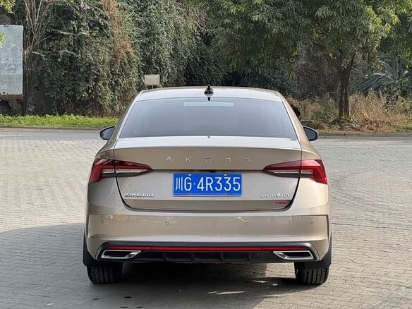 2023 Skoda Octavia IV (A8), бежевый - вид 5