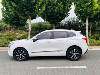 2021 Haval Jolion I, белый, 1235000 рублей, вид 3