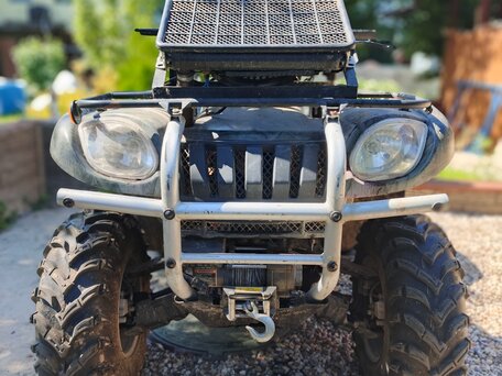 2008 Grizzly Aerox Mini, зелёный, 350000 рублей, вид 1