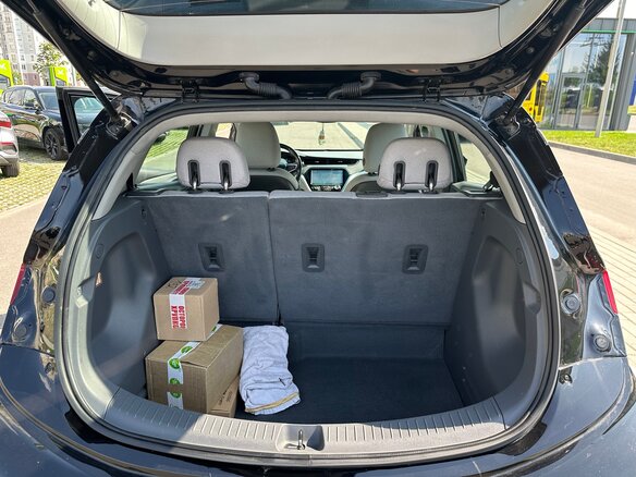 2020 Chevrolet Bolt I, чёрный, 1250000 рублей - вид 14