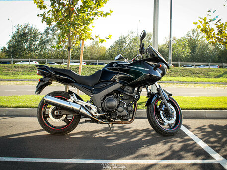 2007 Yamaha TDM900, чёрный, 550000 рублей, вид 1