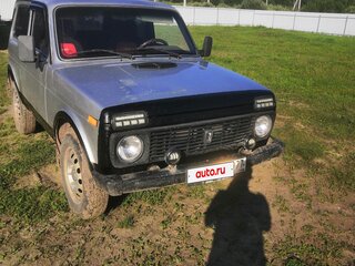 1998 Lada (ВАЗ) 2121 (4x4) I Рестайлинг, серебристый, 220000 рублей, вид 2