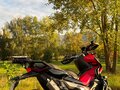 2019 Honda X-ADV, красный, 1150000 рублей - вид 6