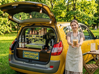 2004 Renault Scenic II, жёлтый, 525000 рублей, вид 4