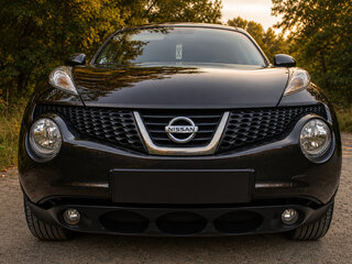 2012 Nissan Juke I, коричневый, 690000 рублей, вид 2