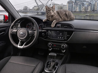 2020 Kia Rio IV, красный, 1350000 рублей, вид 2