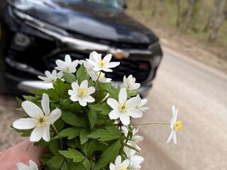 2025 Chevrolet TrailBlazer III Рестайлинг, чёрный, 1700000 рублей, вид 5