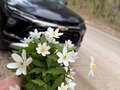 2025 Chevrolet TrailBlazer III Рестайлинг, чёрный, 1700000 рублей - вид 4
