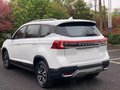 2022 Forthing T5 I Рестайлинг, белый, 985000 рублей - вид 5