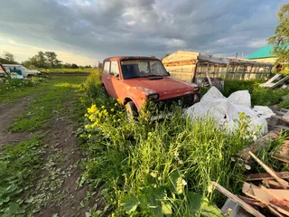 1994 Lada (ВАЗ) 2121 (4x4) I, красный, 65000 рублей, вид 3
