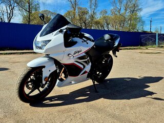 Kawasaki Ninja 250R