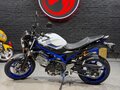 2019 Suzuki SV 650, белый, 535000 рублей - вид 3