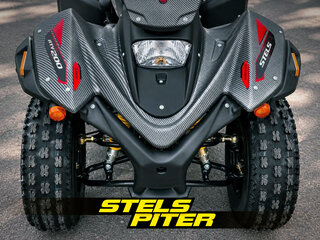 2026 Stels ATV-200 Леопард, серый, 260000 рублей, вид 3
