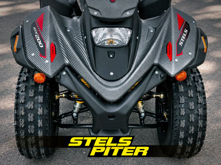 2026 Stels ATV-200 Леопард, серый, 260000 рублей, вид 3