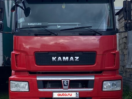 2016 КамАЗ 5490 NEO, красный, 1750000 рублей, вид 1