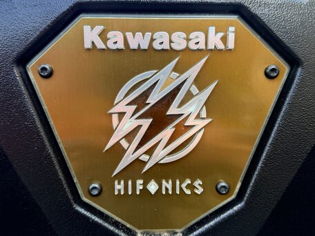 2024 Kawasaki Teryx KRX 1000, зелёный, 2000000 рублей, вид 5