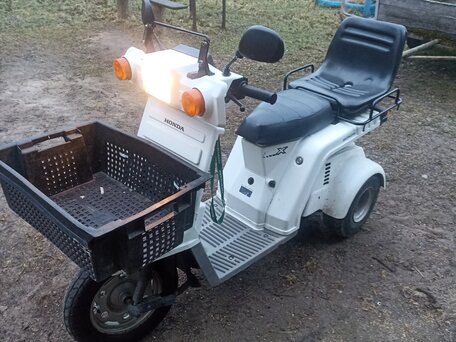 1999 Honda Gyro, белый, 97000 рублей, вид 4