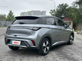 2023 BYD Dolphin 44.9 kWh I, серый, 1608008 рублей, вид 4