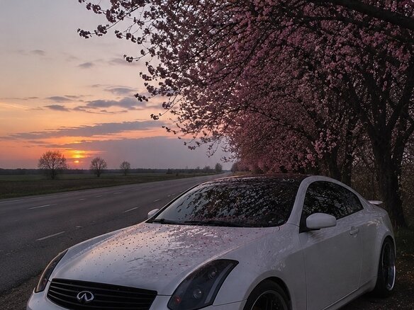 2005 Infiniti G G35 III, белый - вид 5