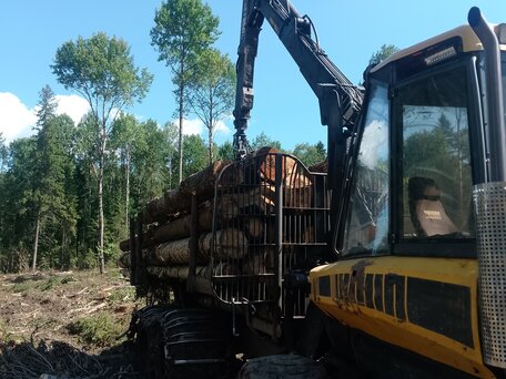 2005 Ponsse Elk, жёлтый, 6500000 рублей, вид 4