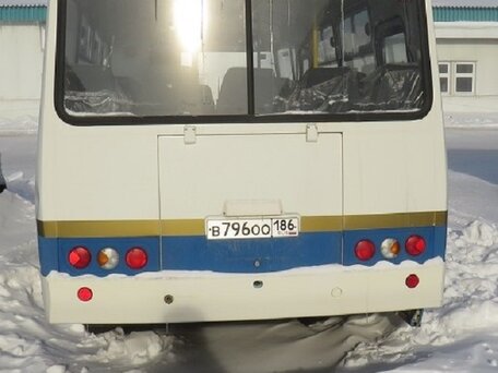 2020 ПАЗ 3205, белый, 812520 рублей, вид 4