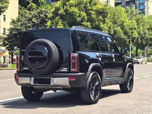 2025 Haval Menglong (Raptor) I Рестайлинг, чёрный, 3900000 рублей - вид 15
